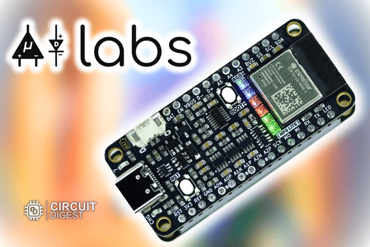 Neuro PlayGround Lite